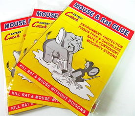 廠家直銷環保外貿粘鼠膠板——義烏市綠亞日用品廠，一站式采購指南